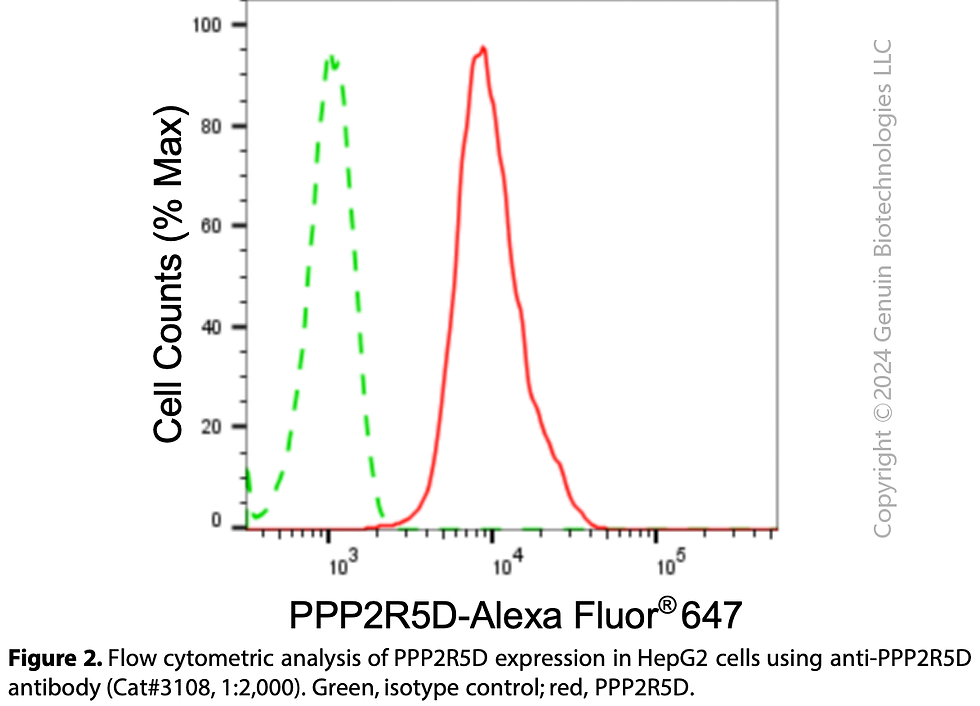 Thumbnail: Anti-PPP2R5D Rabbit mAb #3108