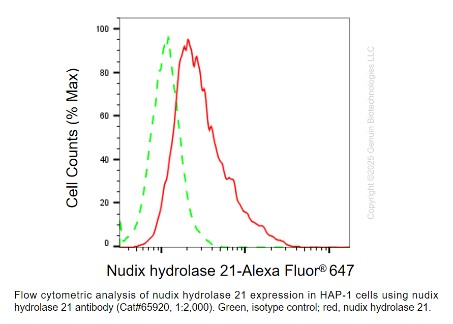 Thumbnail: KD-Validated Anti-NUDT21 Mouse Monoclonal ab #65920