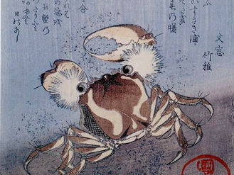 How to Look at Japanese Art Series - A Crab Woodblock Print