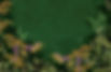 CaleyBeard_CustomArt_04.jpg