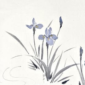 Irises