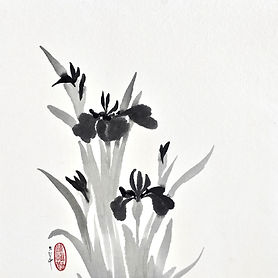 Belonging - Irises VII