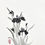 Thumbnail: Belonging - Irises VII