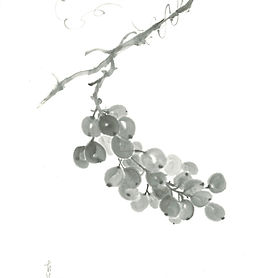 tendril XVI