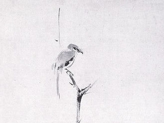 A Shrike on a Barren Branch