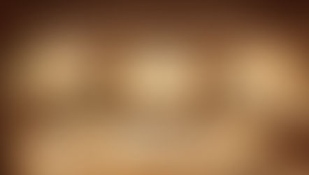 Historical Reference Note: The 1828 Dictionary and Early American Racial Classification