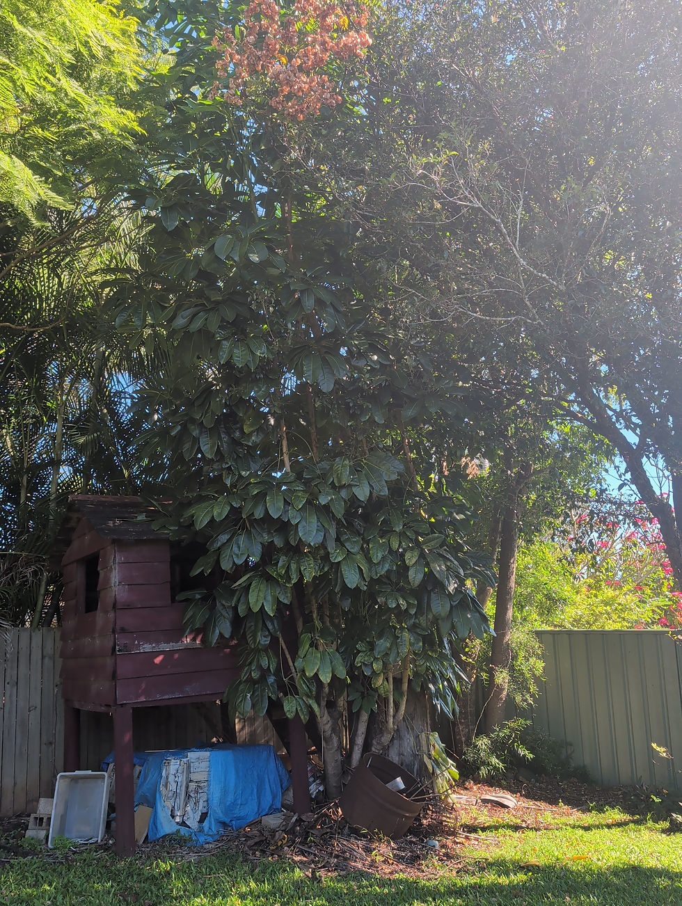 image-1781922467491.jpg