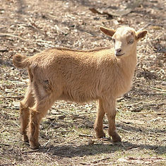 DJG05013_edited.jpg