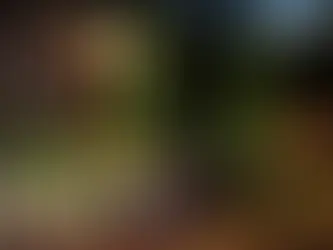 How Many Lumens for Landscape Lighting?