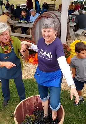 Untitled design (81)_edited.jpg