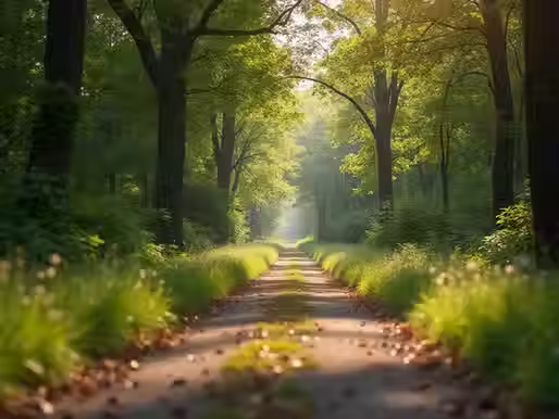 Empower Yourself: Tips for Personal Growth Journey