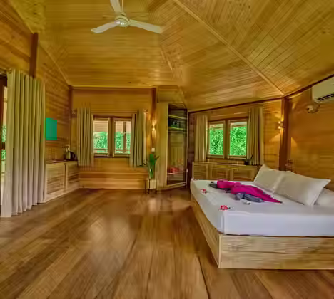 Elevated Jungle Cabana Deluxe surrounded by trees