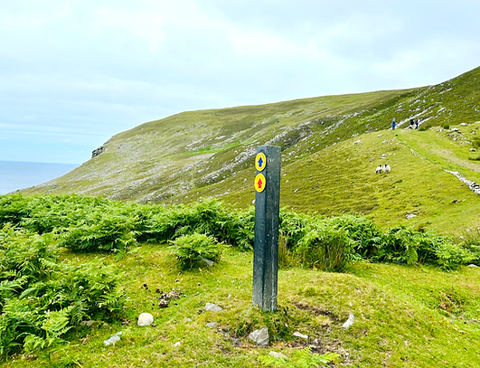 Screenshot 2025-10-14 at 8.47.14 AM.png