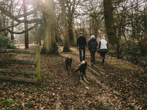 Constelaciones Familiares