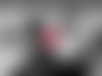 Comida-Baile de la APDJ en Coapa