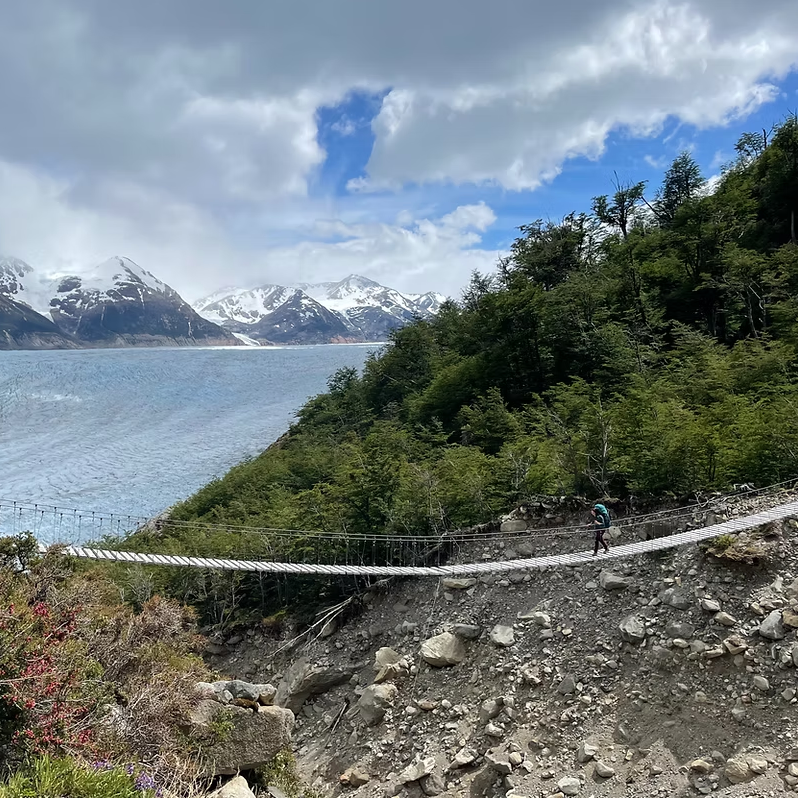 Grey Glacier Bridges