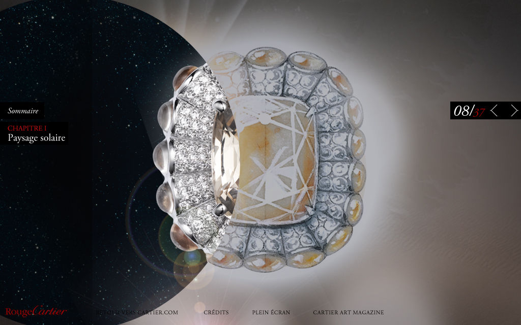 CARTIER6.jpg