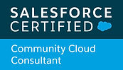 community cloud consultant.jpeg