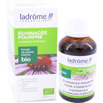 echinacee-echinacea-plantenextract.jpeg