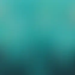 This is the Best Investment Portfolio Advice You’ll ever Receive!