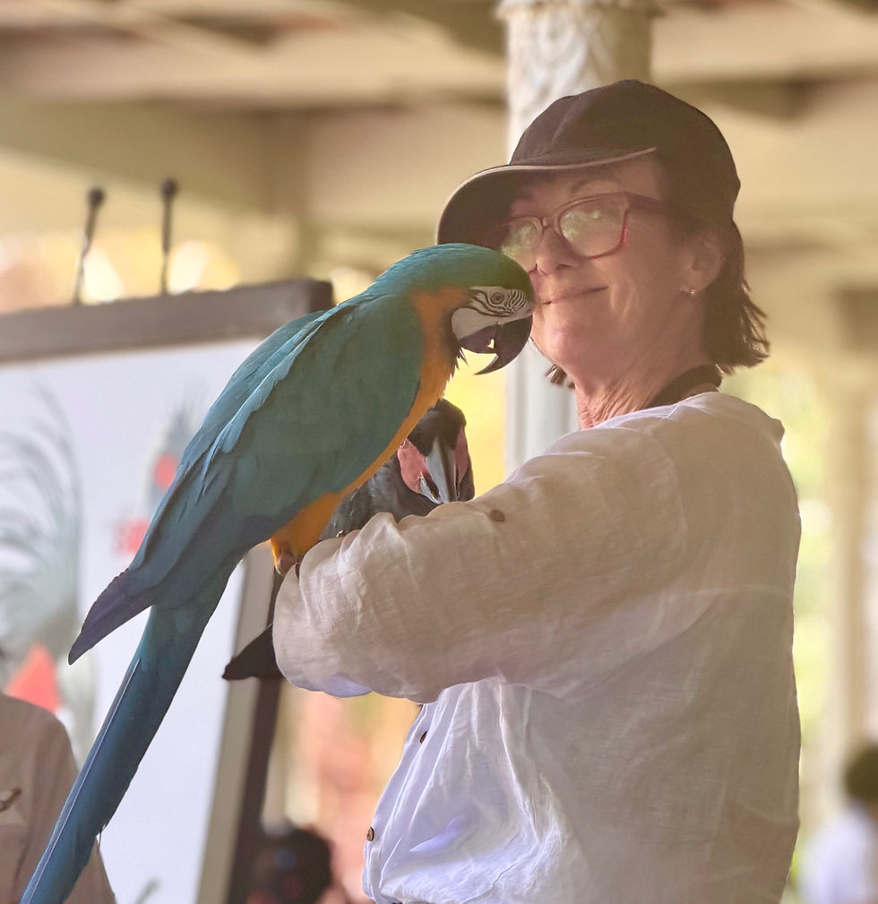 JODY GRAHAM at BALI BIRD PARK 2026