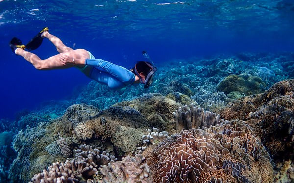 WhatsApp Image 2023-01-09 at 1.05.56 PM (6).jpeg