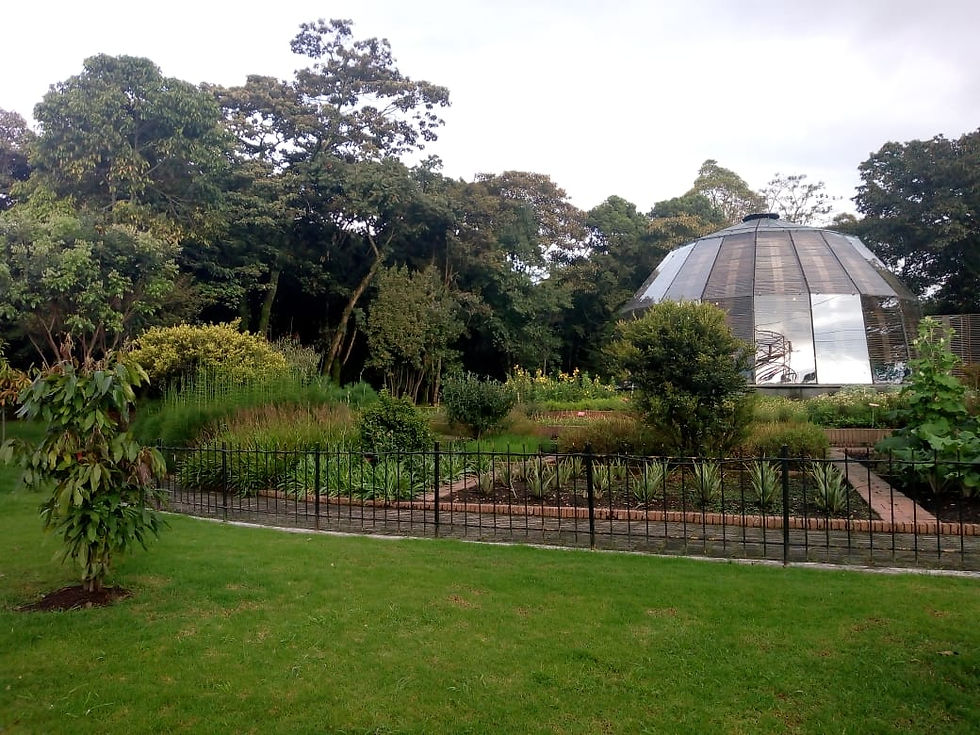 IMG-20180520-WA0124