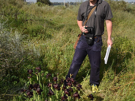 Geophytes, glowing hues and geology in the Negev Highlands
