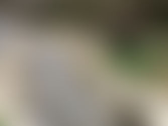 Just singing in the rain