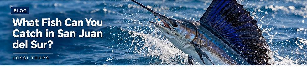 Sport fishing species found around San Juan del Sur, Nicaragua