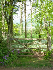 _DSC7936.jpeg