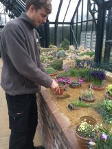 James Miller working in RHS Wisley Alpine Display