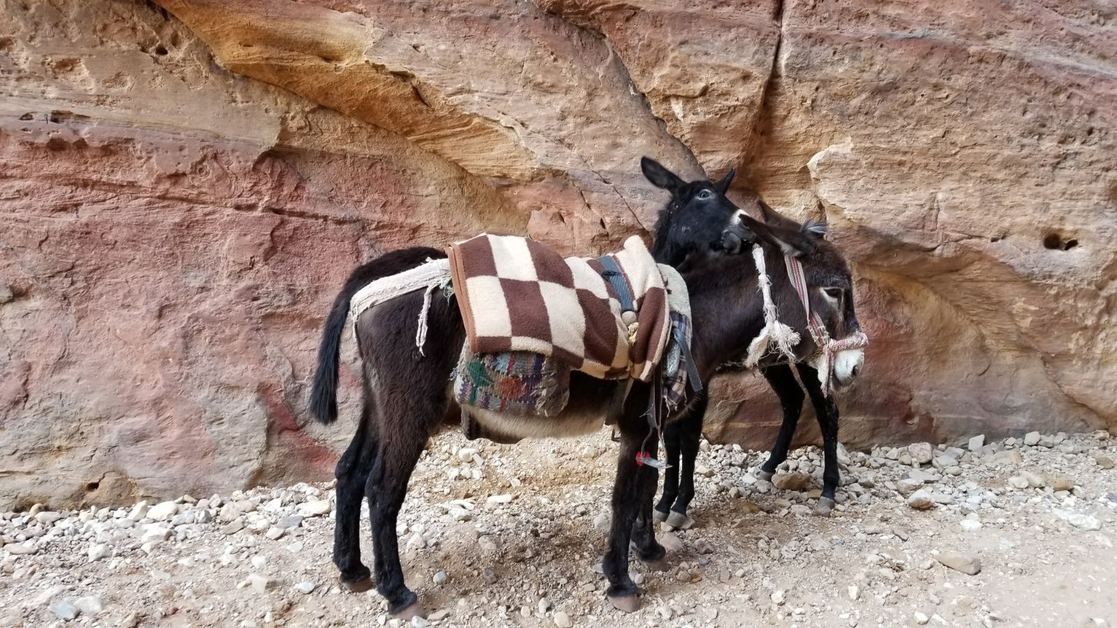 Jordan canyon_Elysa DuCharme_3