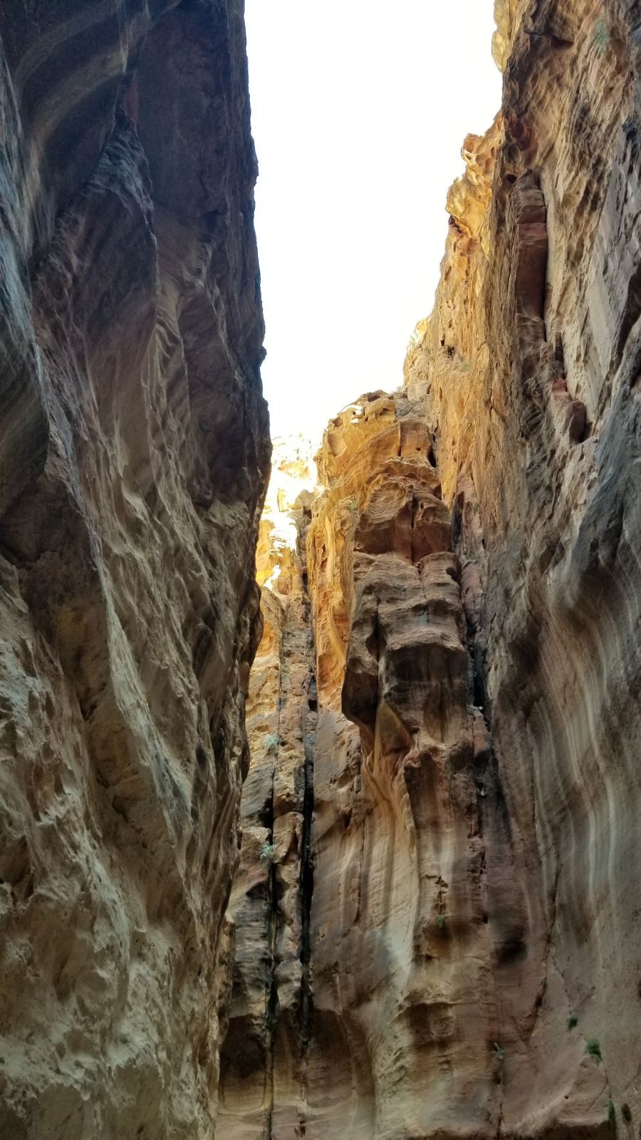 Jordan canyon_Elysa DuCharme_2