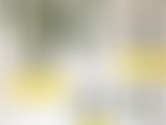 Cacti Propagation — Botanical Adventures