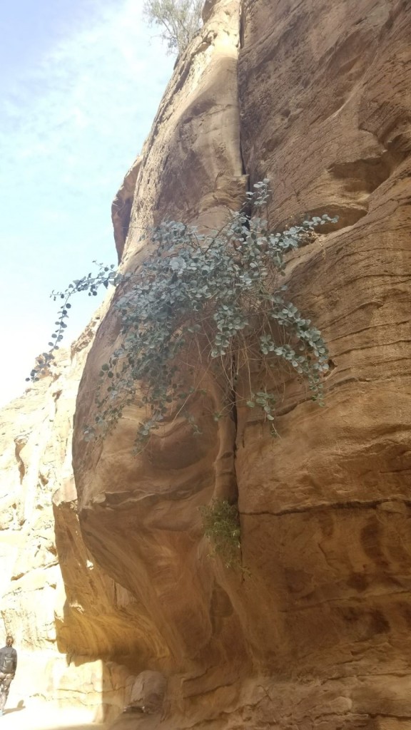 Jordan canyon_Elysa DuCharme_4