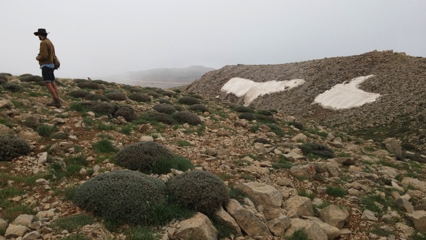 James clutterbuck on Mt Hermon May 2015