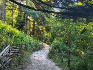 Up and Down the Mountain with Francis of Assisi
