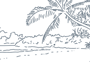 Simple line drawing of a tropical beach scene with palm trees and a person relaxing on a chair. Calm and serene atmosphere.