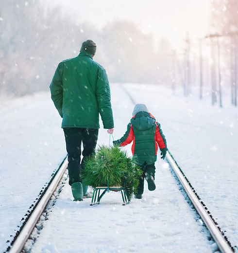 Collecting Christmas Tree_edited.jpg