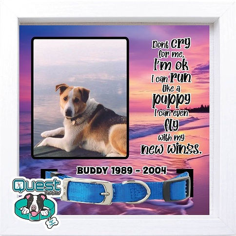 Thumbnail: Memorial Shadow Box