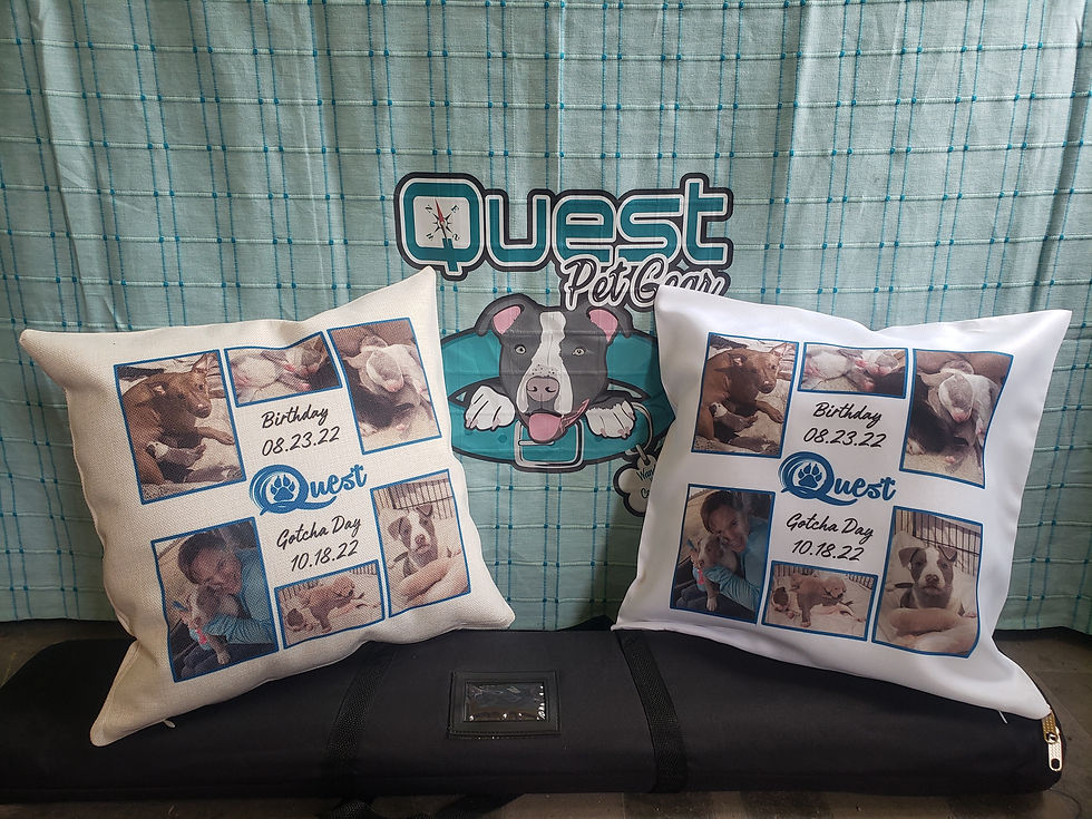 Pillow + Pillow Case