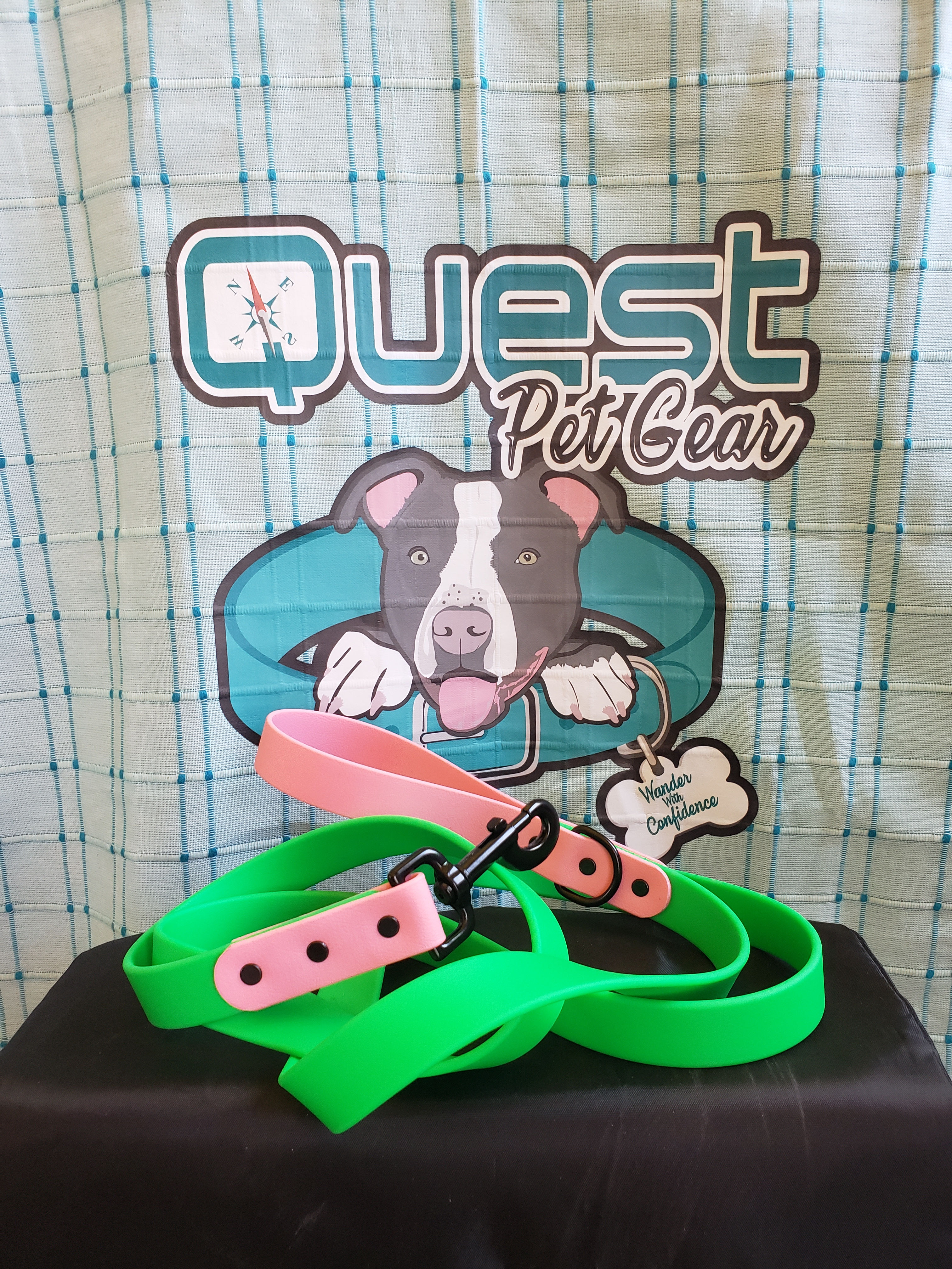 1" biothane 2 tone leash