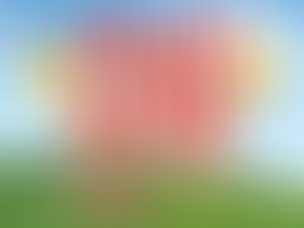 PLAYULTRA FES'25 開催決定!