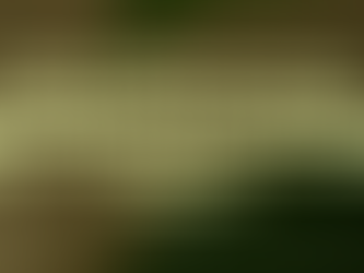 PCOS / PCOD Kya Hai? Symptoms, Root Cause Aur Ayurveda Se Natural Treatment