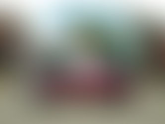 第５１回運動会！