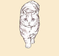 muga_icon - muga.jpg