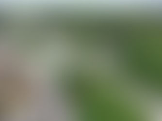 Werken aan de Ring – ‘Minder Hinder’ - Update december '24