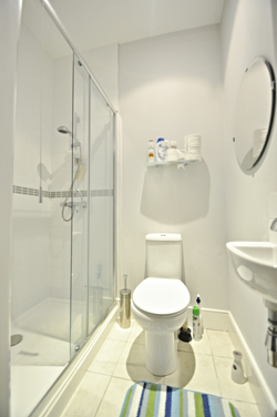 Downstairs Shower Room