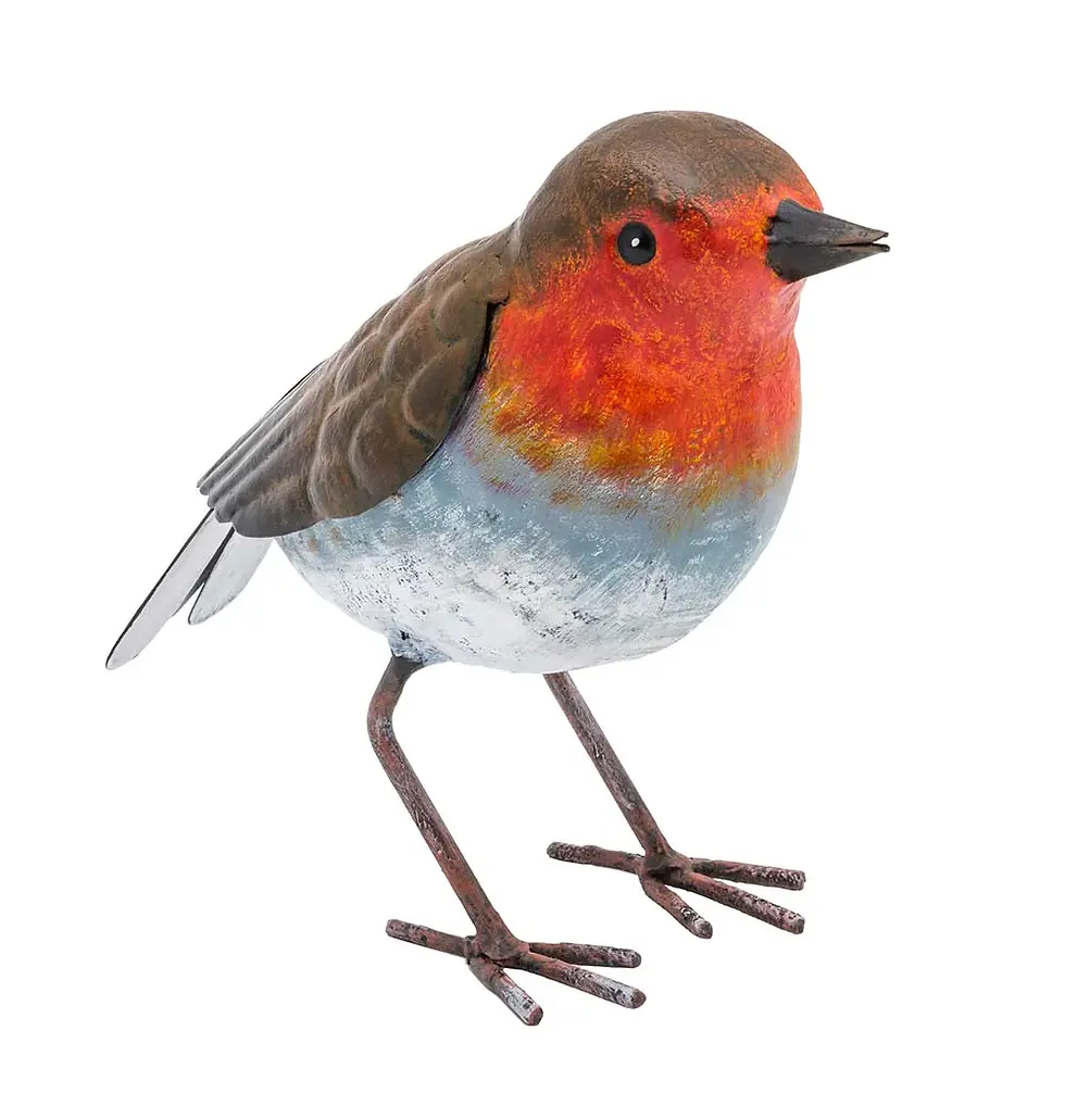 Robin
